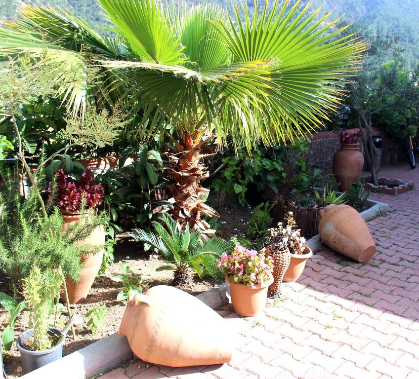 Adrasan Shambala Apartment Exterior foto
